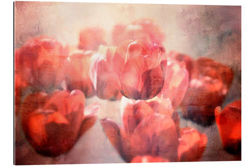 Gallery print Red tulips
