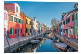 Aluminium print Colorful variety in Murano