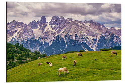 Alubild Sommer am Monte Cristallo in den Dolomiten