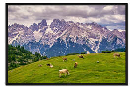 Gerahmter Kunstdruck Sommer am Monte Cristallo in den Dolomiten