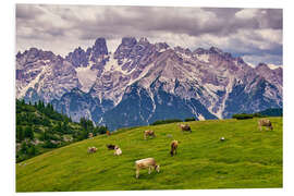 Foam board print Summer at Monte Cristallo in the Dolomites