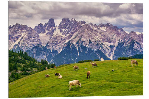 Gallery print Summer at Monte Cristallo in the Dolomites