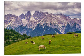 Magnettafel Sommer am Monte Cristallo in den Dolomiten
