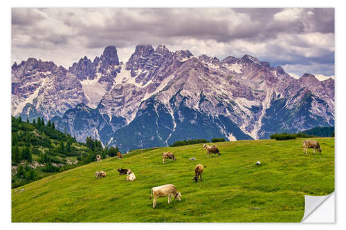 Sticker mural Summer at Monte Cristallo in the Dolomites