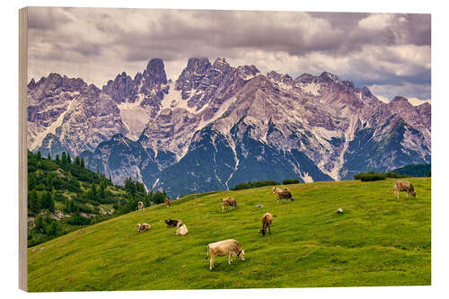 Trebilde Summer at Monte Cristallo in the Dolomites