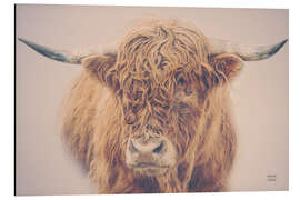 Aluminiumtavla Highland cattle in the winter mist