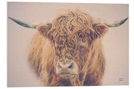 Foam board print Highland cattle in the winter mist