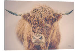 Gallery print Highland cattle in the winter mist