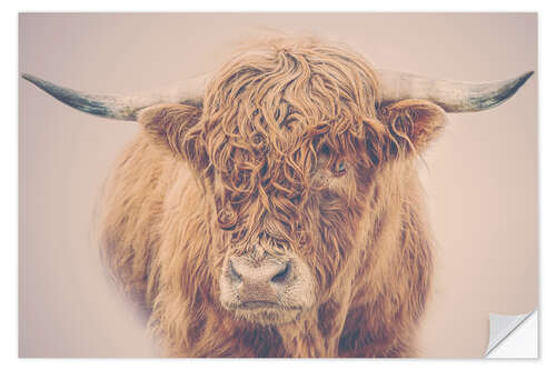 Wall sticker Highland cattle in the winter mist