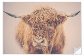 Sticker mural Highland cattle in the winter mist