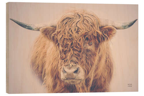 Wood print Highland cattle in the winter mist