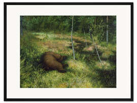 Gerahmter Kunstdruck Braunbär, 1898