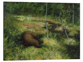 Magnettafel Braunbär, 1898