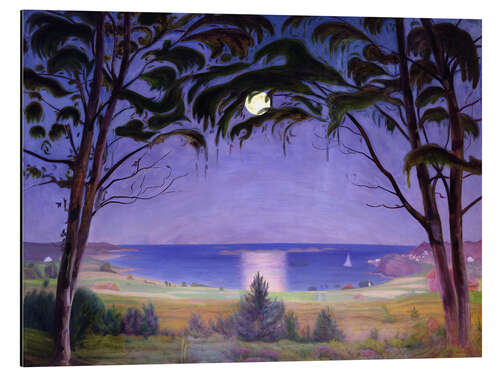 Aluminiumsbilde Moonlight, Nevlunghavn, 1922