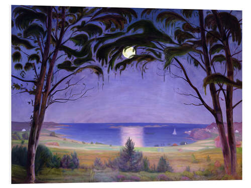 PVC print Moonlight, Nevlunghavn, 1922