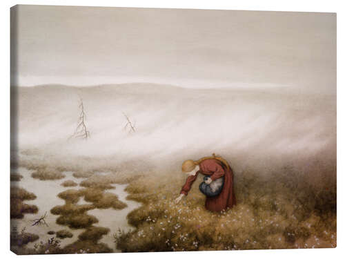 Quadro em tela Cotton Grass, 1913
