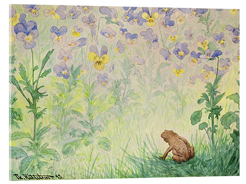Acrylic print Odd, 1893