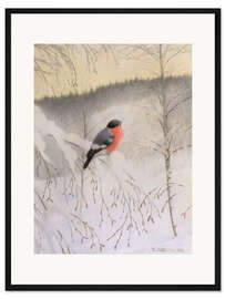 Gerahmter Kunstdruck Gimpel auf frostigem Zweig, 1906