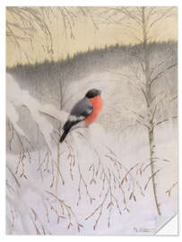 Vinilo para la pared Bullfinch on Frosty Twig, 1906