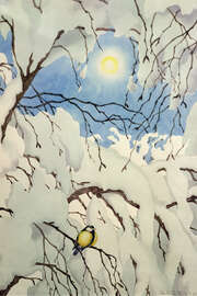 Magnettafel Kohlmeise, 1909