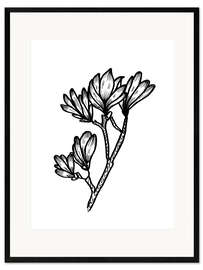 Framed art print Magnolia