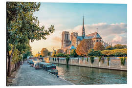 Stampa su alluminio Notre-Dame at sunset