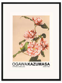 Gerahmter Kunstdruck Striped Camellias