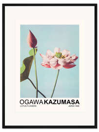 Gerahmter Kunstdruck Lotus Flowers