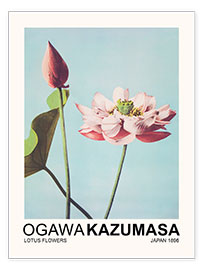 Wall print  Lotus Flowers - Ogawa Kazumasa