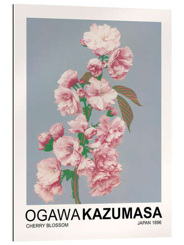 Gallery Print Cherry Blossom