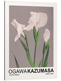 Tableau en aluminium White Irises