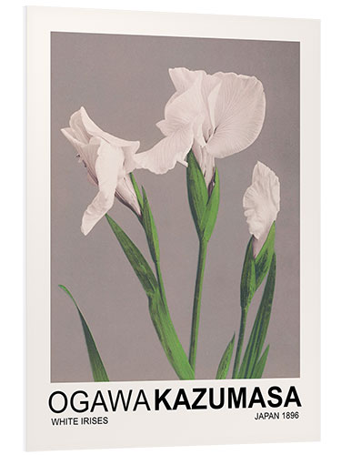 Foam board print White Irises