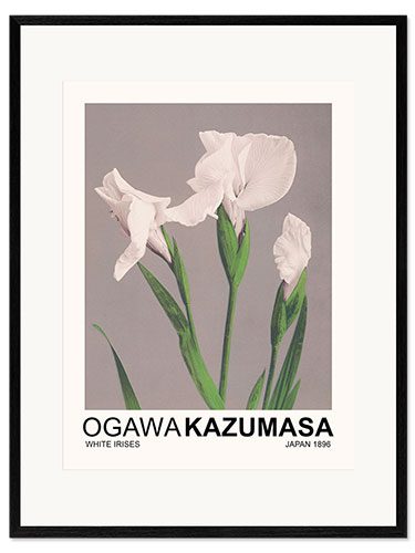 Impression artistique encadrée White Irises