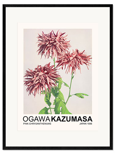 Gerahmter Kunstdruck Pink Chrysanthemums