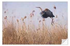 Selvklebende plakat Purple Heron in the fog