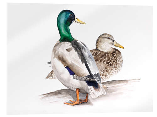 Akrylglastavla Ducks