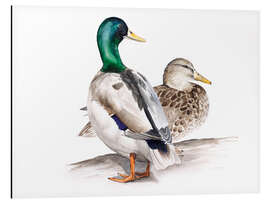 Quadro em alumínio Ducks