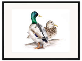 Gerahmter Kunstdruck Enten