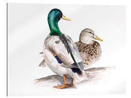 Tableau en plexi-alu Ducks