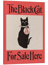 Cuadro de aluminio The Black Cat (For Sale Here) - Vintage Advertisement