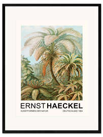 Framed art print Kunstformen Der Natur - Filicinae Laubfarne