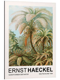 Magnettafel Kunstformen Der Natur - Filicinae Laubfarne