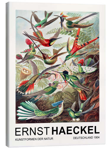 Canvastavla Kunstformen Der Natur - Trochilidae Kolibris