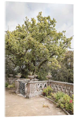 Acrylic print Monserrate Palace Garden II