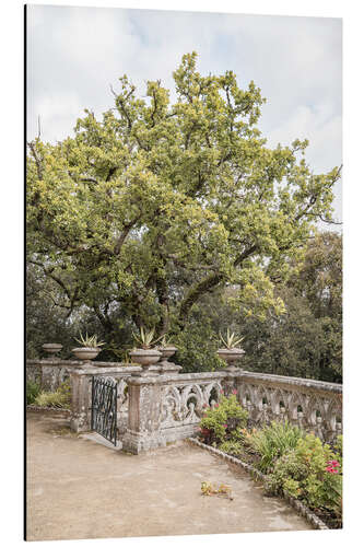 Stampa su alluminio Monserrate Palace Garden II