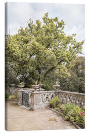 Canvas-taulu Monserrate Palace Garden II