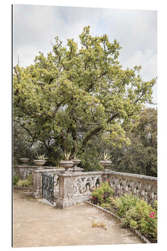 Galleriprint Monserrate Palace Garden II