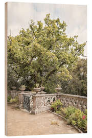 Wood print Monserrate Palace Garden II