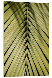 Tableau en plexi-alu Tropical Palm in the Sun