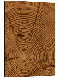 Magnettafel Jahre des Wachsens